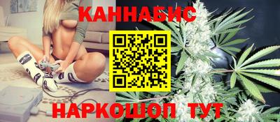 индика Владикавказ