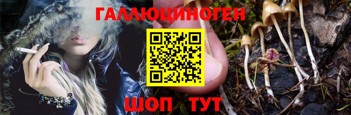 Люберцы  наркошоп  Вход с VPN  Псилоцибиновые грибы ЛСД 