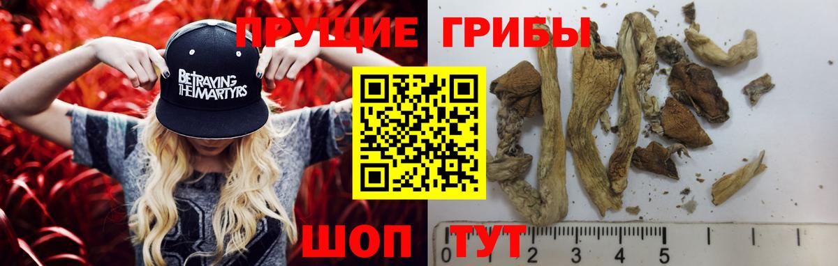 Псилоцибиновые грибы Magic Shrooms Люберцы